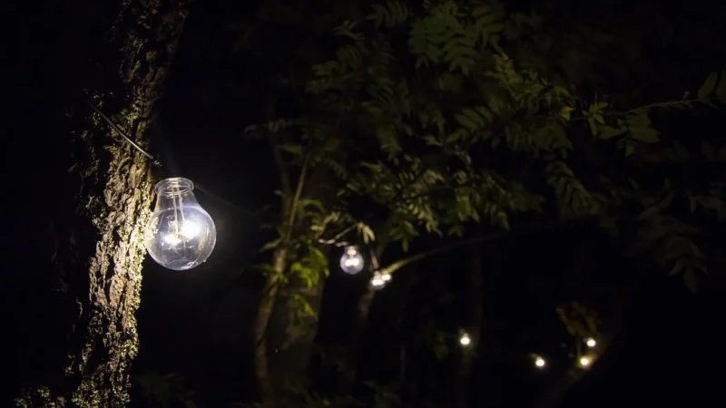 Lampy LED zewnętrzne – doskonałe oświetlenie dla Twojego ogrodu